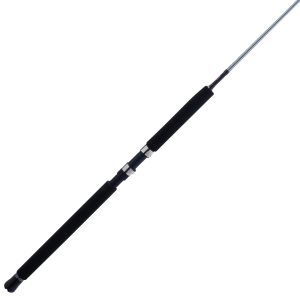 Prevail III Spinning Jig Rod
