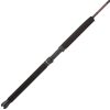 Rampage Spinning Jigging Rod